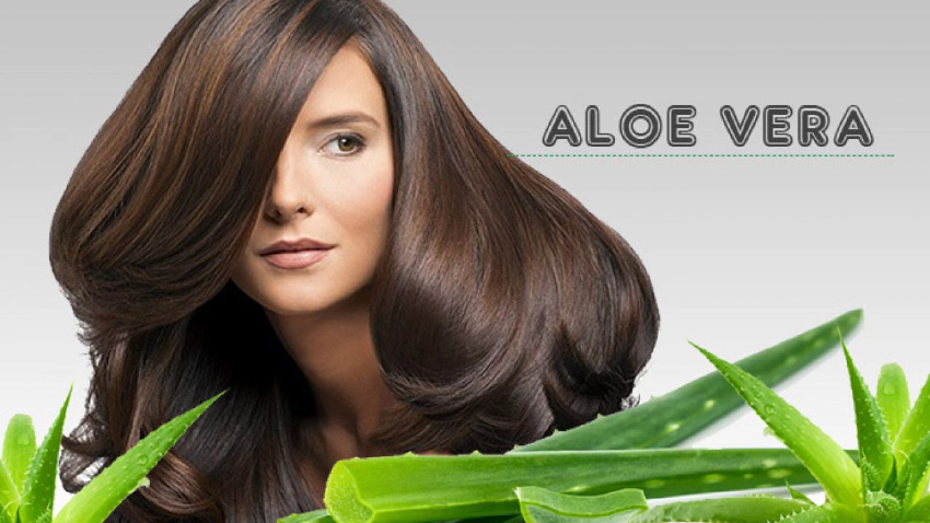 Can Aloe Vera Cause Your Hair Loss?